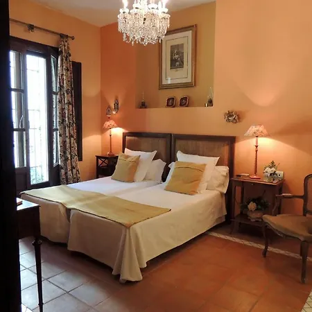 Bed & Breakfast Palacio Del Cobertizo De Santa Ines 4*