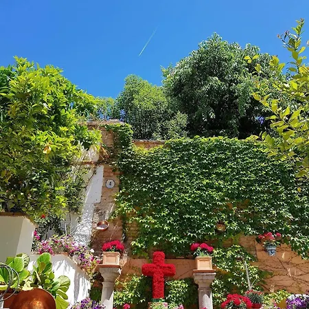 Palacio Del Cobertizo De Santa Ines 4* Granada
