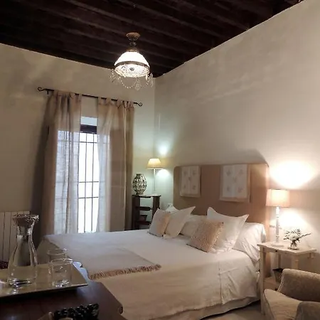Palacio Del Cobertizo De Santa Ines Granada