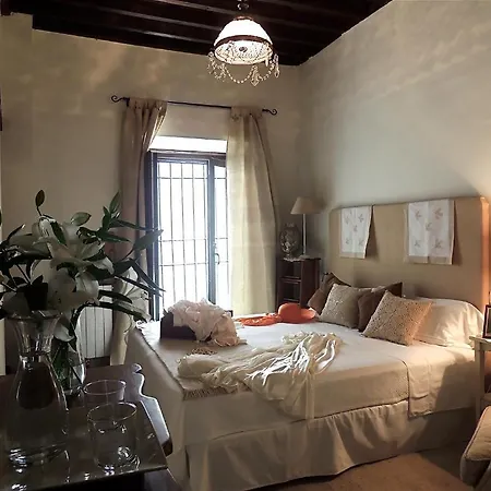 Palacio Del Cobertizo De Santa Ines Granada